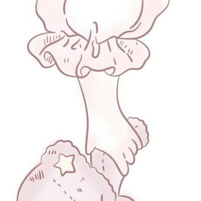 《白日提灯》今日开播